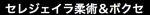 セレジェイラ柔術&ボクセ