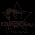 総合格闘技道場コブラ会 福島本部道場