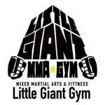 Little Giant Gym