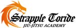 ストライプル取手柔術アカデミー
