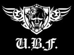 UBF格闘技ジム