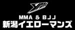 新潟イエローマンズ